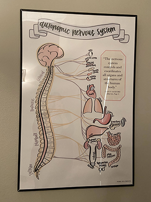 Chiropractic Calgary AB Nervous System Poster